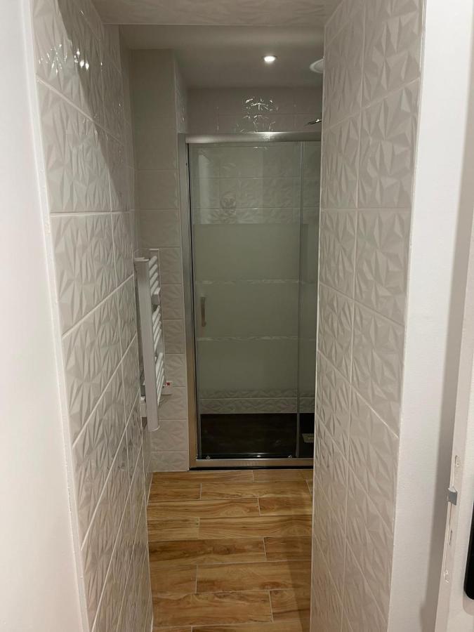 Le Jardin Niortais - Hyper Centre- Proche Gare - Paisible - Grand Jardin Prive, Wifi Hd -netflix Apartment Niort