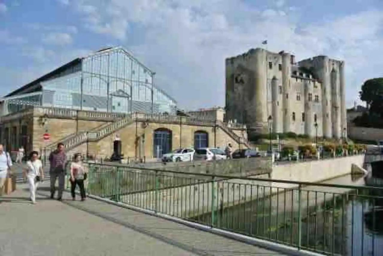 Apartment Le Jardin Niortais - Hyper Centre- Proche Gare - Paisible - Grand Jardin Prive, Wifi Hd -netflix Niort